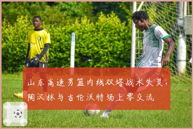 山东高速男篮内线双塔战术失灵,陶汉林与吉伦沃特场上零交流